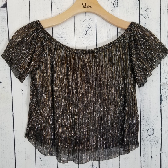Zara Tops Zara Sparkle Metallic Crop Top Poshmark